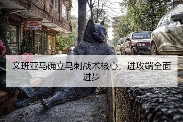 文班亚马确立马刺战术核心，进攻端全面进步