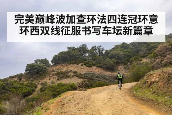 完美巅峰波加查环法四连冠环意环西双线征服书写车坛新篇章